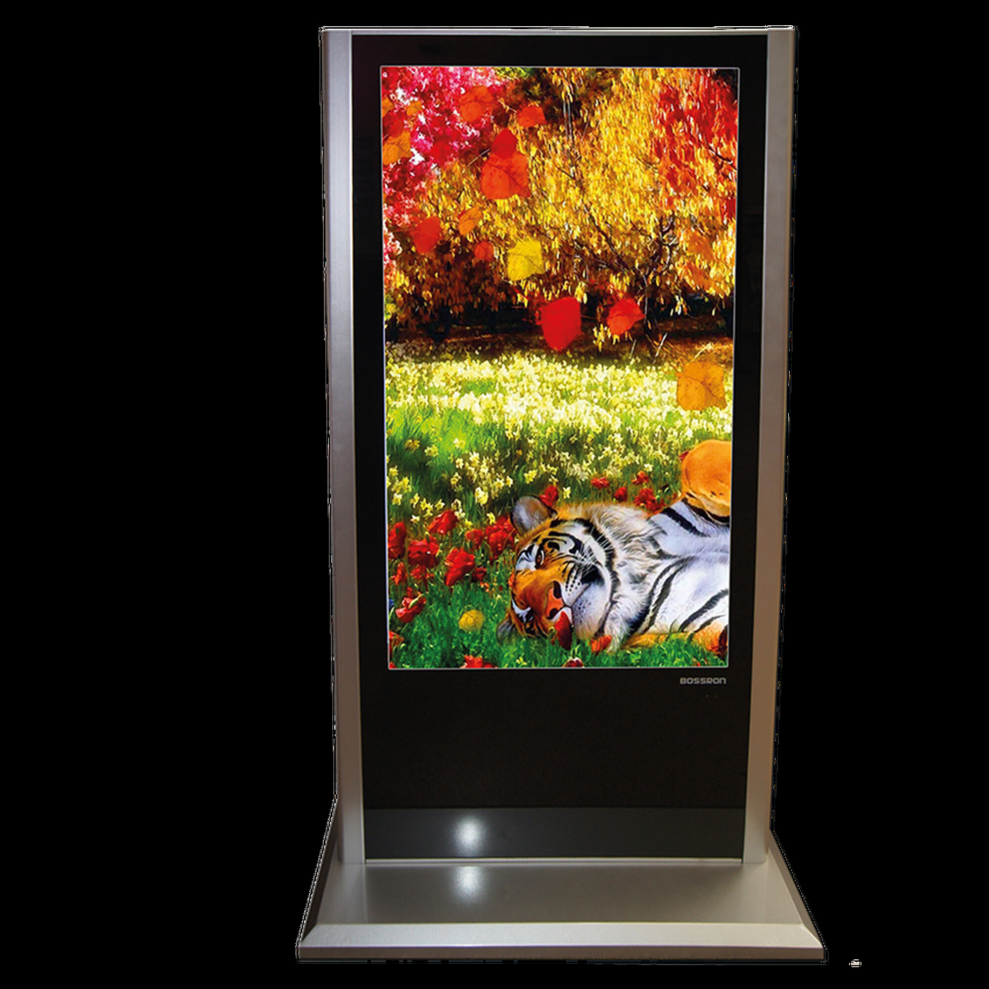 Стойка рекламная LCD, диагональ 55