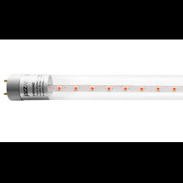 Лампа светодиодная PLED T8 1200 Agro 16w CL G13 ( для растений) Jazzway